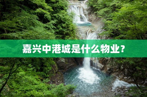 嘉兴中港城是什么物业？