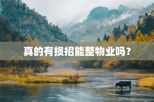 真的有损招能整物业吗？
