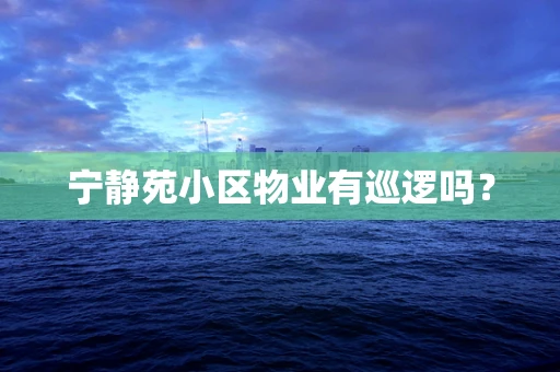 宁静苑小区物业有巡逻吗？