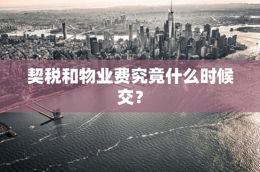 契税和物业费究竟什么时候交？