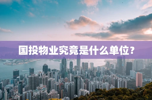 国投物业究竟是什么单位？