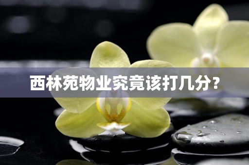 西林苑物业究竟该打几分？