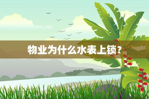 物业为什么水表上锁？