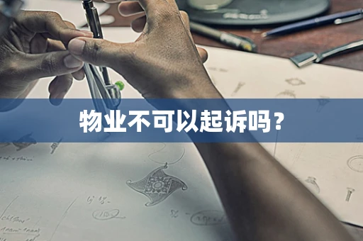 物业不可以起诉吗？