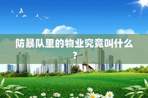 防暴队里的物业究竟叫什么？