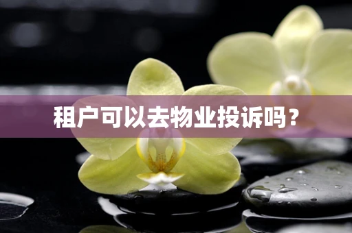 租户可以去物业投诉吗？