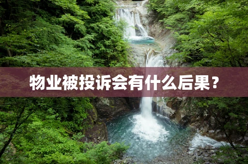 物业被投诉会有什么后果？