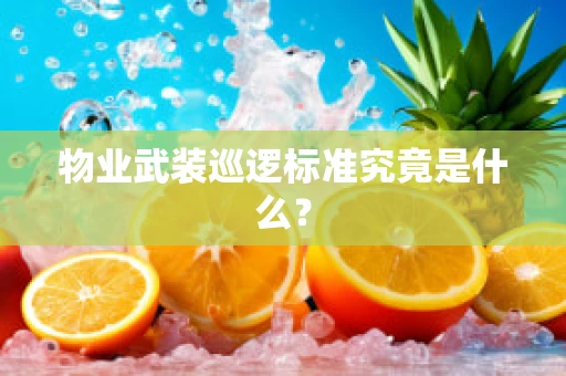物业武装巡逻标准究竟是什么？