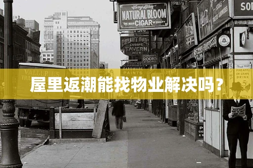 屋里返潮能找物业解决吗？