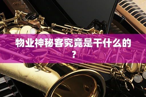 物业神秘客究竟是干什么的？