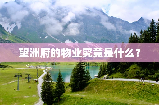 望洲府的物业究竟是什么？