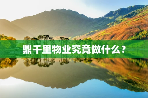 鼎千里物业究竟做什么？