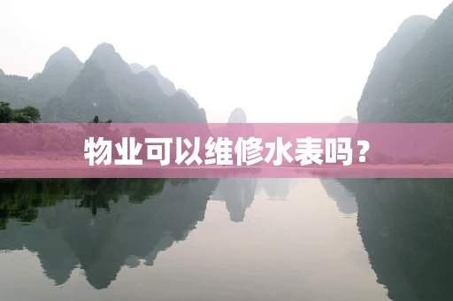 物业可以维修水表吗？