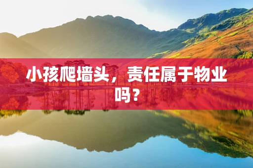 小孩爬墙头，责任属于物业吗？