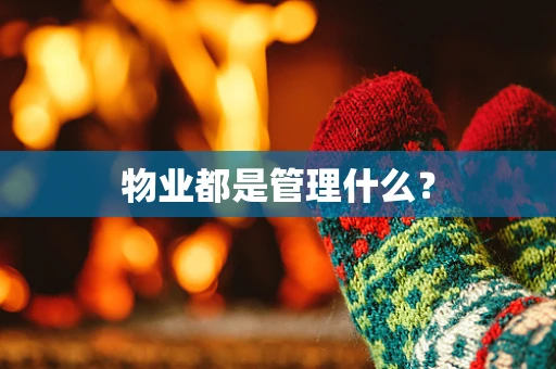 物业都是管理什么？