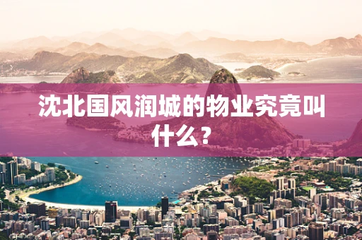 沈北国风润城的物业究竟叫什么？