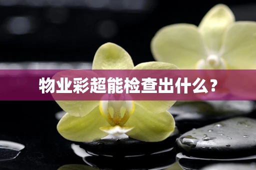 物业彩超能检查出什么？