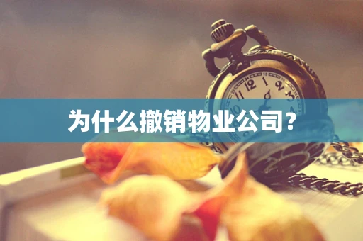 为什么撤销物业公司？