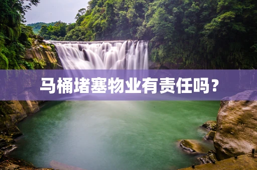 马桶堵塞物业有责任吗？