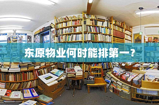 东原物业何时能排第一？