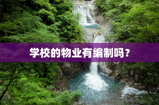 学校的物业有编制吗？
