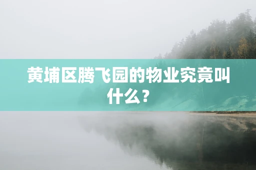 黄埔区腾飞园的物业究竟叫什么？