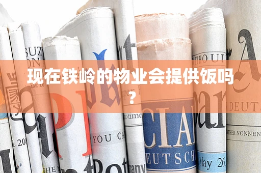 现在铁岭的物业会提供饭吗？
