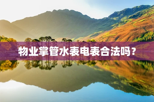 物业掌管水表电表合法吗？