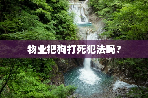 物业把狗打死犯法吗？