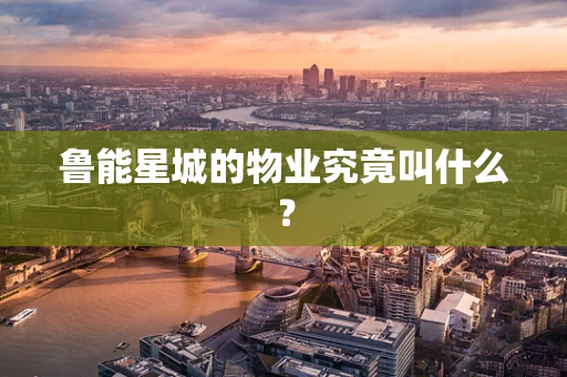 鲁能星城的物业究竟叫什么？