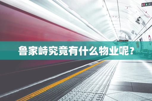 鲁家峙究竟有什么物业呢？