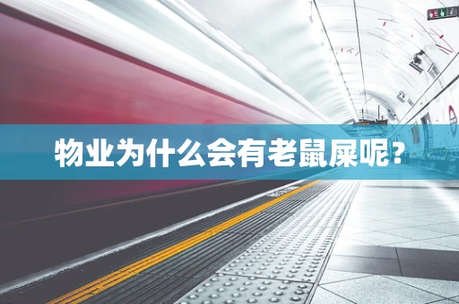物业为什么会有老鼠屎呢？