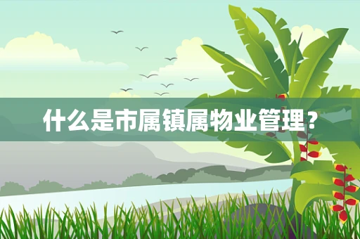 什么是市属镇属物业管理？