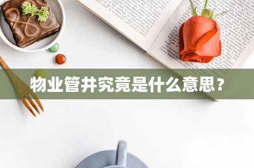 物业管井究竟是什么意思？
