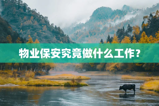 物业保安究竟做什么工作？