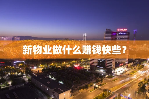 新物业做什么赚钱快些？