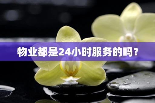 物业都是24小时服务的吗？