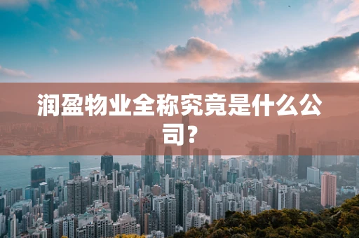 润盈物业全称究竟是什么公司？