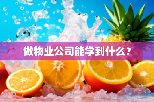 做物业公司能学到什么？