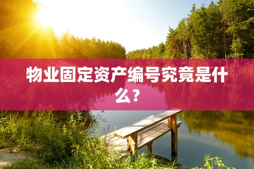 物业固定资产编号究竟是什么？