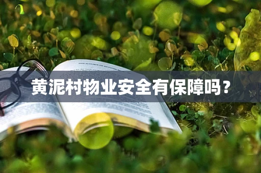 黄泥村物业安全有保障吗？