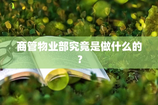 商管物业部究竟是做什么的？