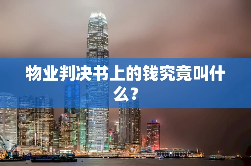 物业判决书上的钱究竟叫什么？