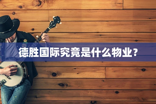 德胜国际究竟是什么物业？