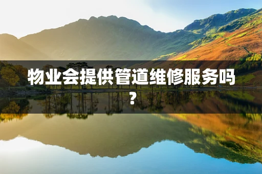 物业会提供管道维修服务吗？