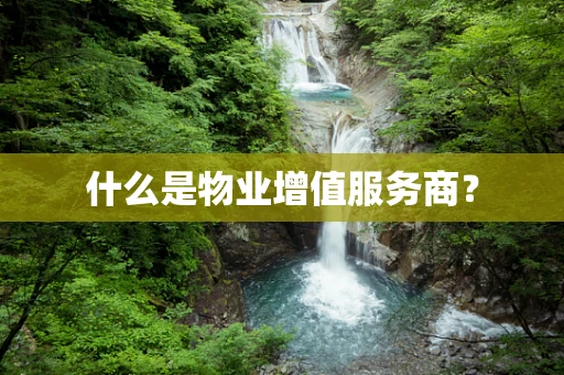 什么是物业增值服务商？