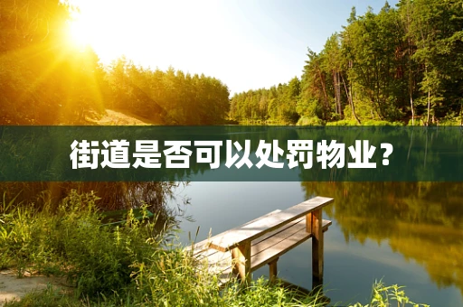 街道是否可以处罚物业？