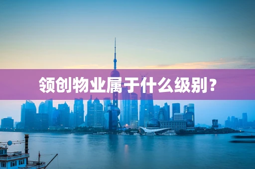 领创物业属于什么级别？