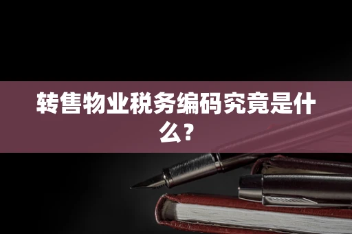 转售物业税务编码究竟是什么？