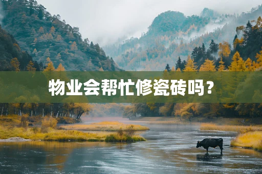 物业会帮忙修瓷砖吗？